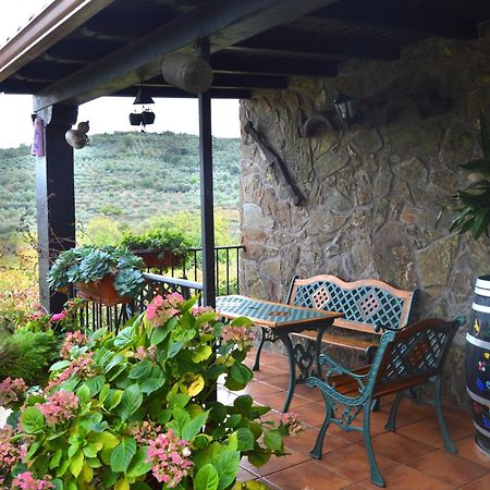 Casa Rural Los Olivos Sotoserrano Kültér fotó