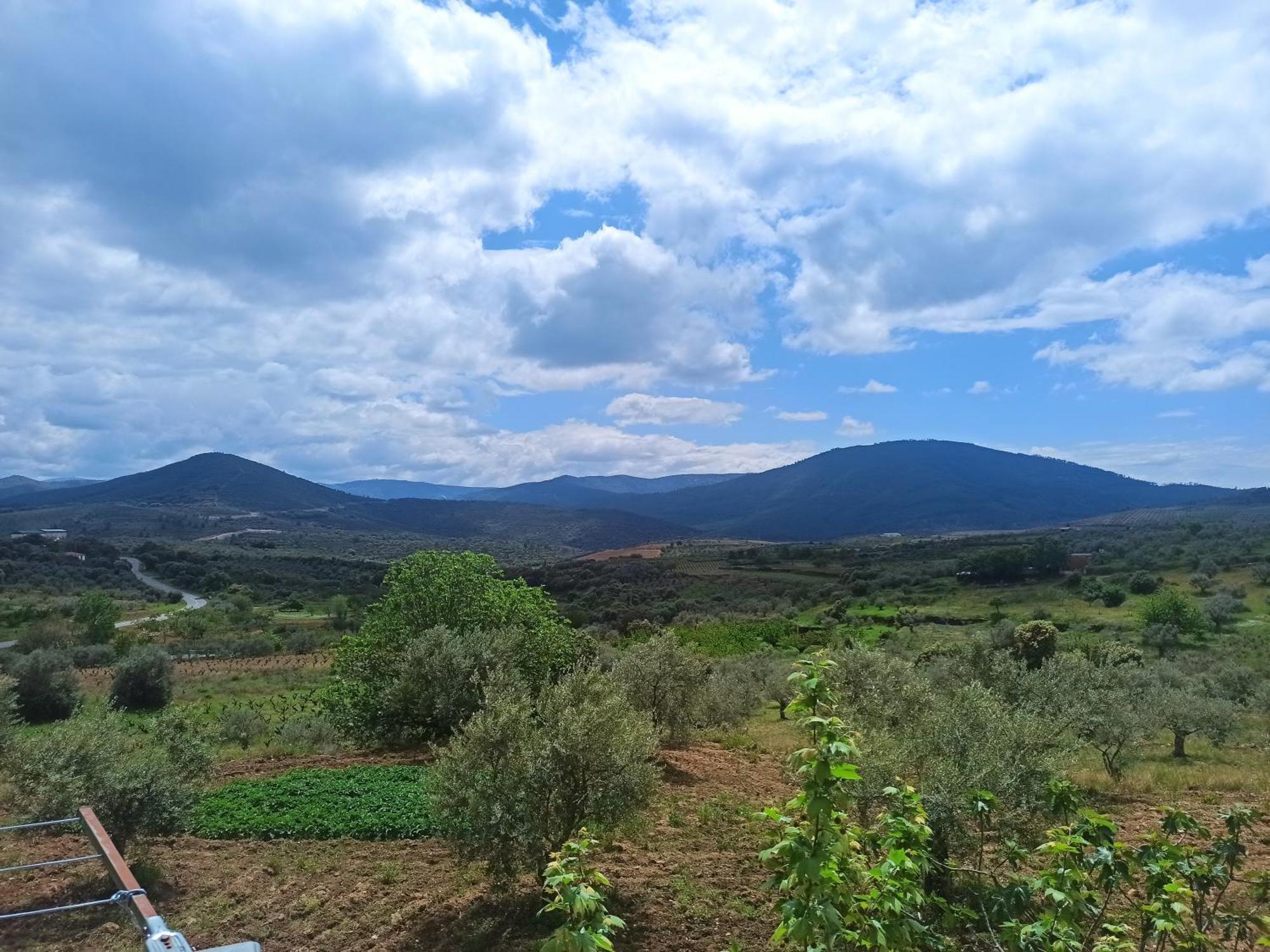 Casa Rural Los Olivos Sotoserrano Kültér fotó