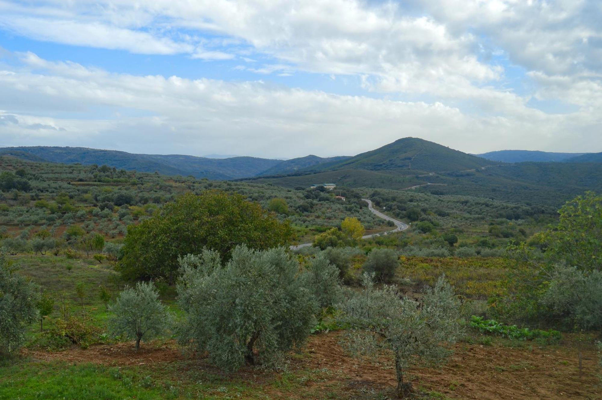 Casa Rural Los Olivos Sotoserrano Kültér fotó
